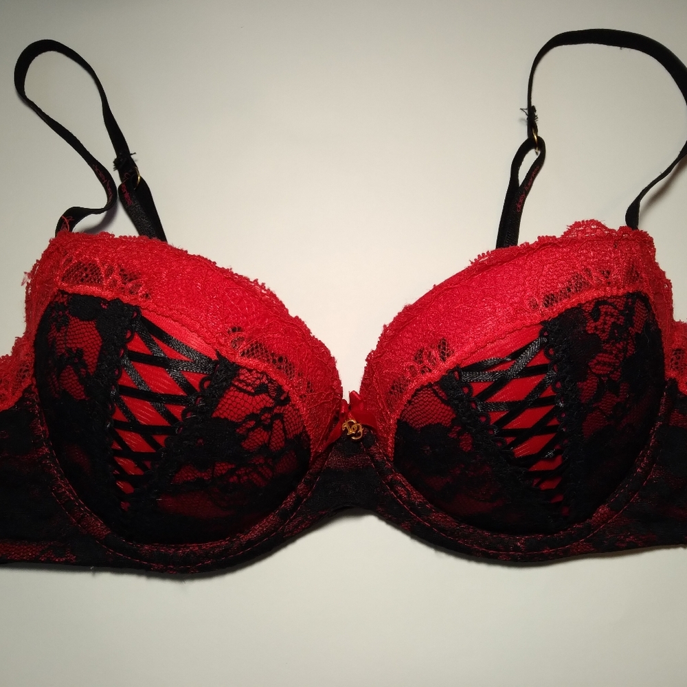 Daisy Fuentes Bra